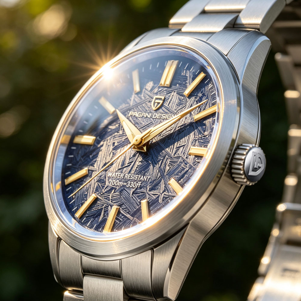 PAGANI DESIGN 40MM Mannen Quar - Accessories With Watch recensie en prijs